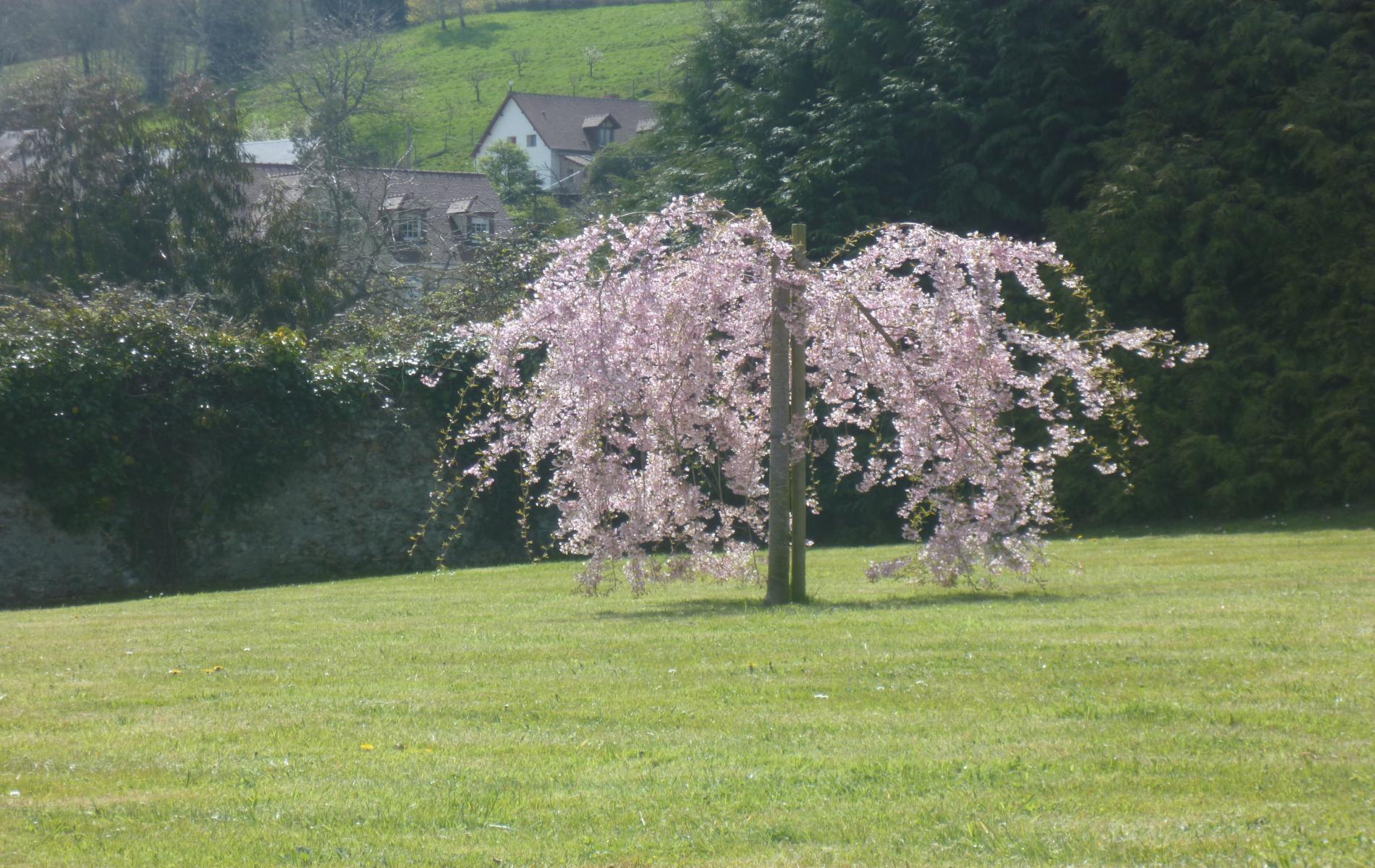 Gîte les fougères 40