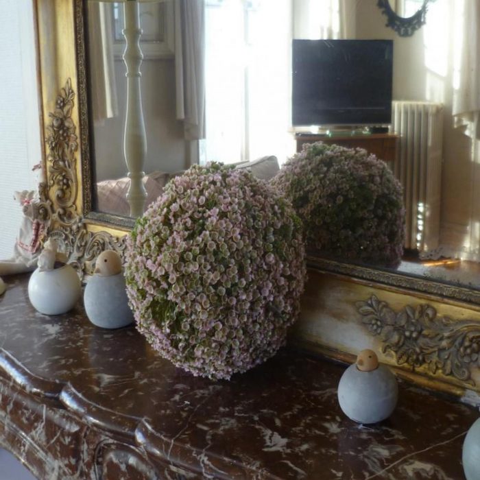 Gite Les fougères 8