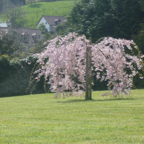 Location Honfleur Studio Le Sous Bois Jardin